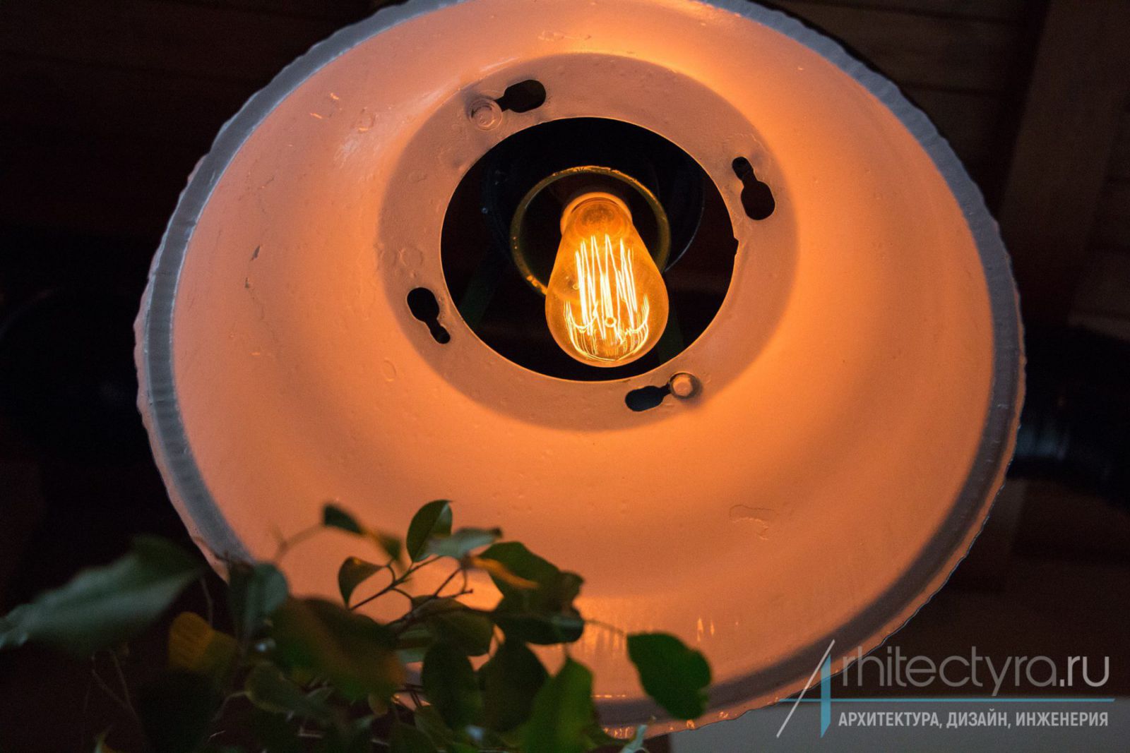 bulb